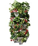 Mr. Stacky 5 Tiered Vertical Gardening Planters, Indoor & Outdoor