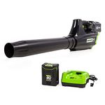 Greenworks 80V (125 MPH / 500 CFM / 75+ Compatible Tools) Cordless Axial Leaf Blower, 2.0Ah Battery and Charger Included