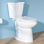 HOMLYLINK 19 Inch Tall Toilet for Seniors Elongated ADA Toilet High Toilet Comfort Bowl Height for Bathroom, Two-Piece Dual Flush 1.28 GPF 12” Rough in,White, Elongated Oval Bowl