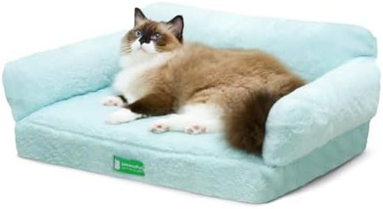 Cat Bed for Indoor Cats Orthopedic Dog Bed for Small Medium Dogs, Egg- Foam Pet Bed with Removable Washable Cover and Non-Slip Bottom (Medium, Blue)