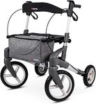 Topro ATR Outdoor All Terrain Folding Lightweight Rollator (Small, Silver)