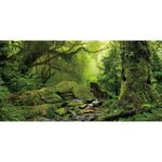 AWERT Tropical Forest Terrarium Background Stream Green Huge Tree Reptile Habitat Background Foggy Rainforest Aquarium Background 36x24 inches Durable Polyester Background