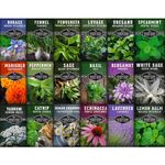 Survival Garden Seeds - 18 Medicinal Herb Seed Packets to Plant & Grow in The Home Vegetable Garden - Assortment of Herb Plant Seeds for Growing Herbal Teas & Tinctures - Non-GMO Heirloom Varieties