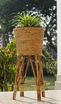 CRAFTY NATION “ Earth's Embrace“ Eco-Friendly Handcrafted Cane Planter | Plant Stand for Indoor Plants| Indoor Gardening Kit | Natural Flower Pot