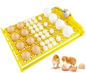 Multi-function Incubator Egg Tray 2
