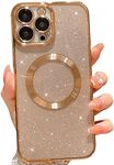 MGQILING Compatible with iPhone 13 Pro Max Magnetic Glitter Case, Luxury Plating Cute Bling Clear Phone Case, Compatible with MagSafe for Women Girls with Camera Protector Back Cover - Gold