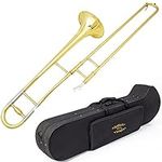 Glory GTD-2 B Flat Brass Trombone with Case & 12C Mouthpiece,Gold Finished,Alto Trombone