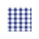 Caspari Gingham Paper Cocktail Napkins in Blue, 20 Per Package