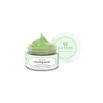 Just Herbs Ayurvedic Mint Lip Mask, Balm For Dark, Dry & Pigmented Lips - Vegan Lip Mask For Men & Women 15gm-Green