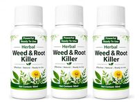 Powerful Ready-to-Use Weed & Root Killer 100ml | Fast Acting Deep Penetrating Formula | Kills Weeds from Root | Weed Remover for Garden, Lawn, Driveway & Pathways (Pack Of 03)