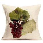 Xihomeli Throw Pillow Cover Succulent Purple Fruit Bunch Red Grapes Leaf Watercolor Food Harvest Painting Autumn Home Decor Cotton Linen Pillowcase Square 18" x 18" Decorative Pillow Case (Grapes)