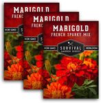 5 Packs French Sparky Marigold Seeds for Planting with Instructions to Grow Large Tagetes Patula Flowers in Your Home Vegetable Garden - Non-GMO Heirloom - Survival Garden Seeds