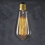 40 Watt Edison Bulb