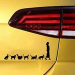 Lady With Crazy Cats Design Fun Scratch Bumper Window Decor Vinyl Sticker Decal