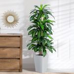 FLOWORLD Artificial Dracaena Tree w