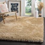 Super Soft Modern Small Doormat Size Beige Carpets for Living Room 2x3 Feet, Fluffy Shaggy Rug, 2-Inch Thick Mats for Floor, Rugs for Bedroom, Anti-Skid Indoor Home Carpet