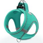 Joytale Small Dog Harness, Breathable Mesh Step-in Vest Harness, Reflective Soft Padded Harnesses for Puppies and Extra Small Dogs, Teal, XS