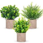 3 Pack Mini Potted Plants Artificial Eucalyptus Boxwood Rosemary Faux Herbs Small House Plants for Indoor Greenery Tabletop Décor Centerpiece