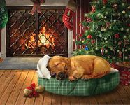 Springbok 34-70549 Christmas Wishes Jigsaw Puzzle