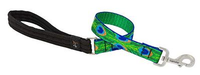 LupinePet Originals 1" Tail Feathers 2-Foot Traffic Lead/Leash For Medium And Larger Dogs,?60.96 cm