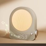 Vivilumens Sunrise Alarm Clock Wake