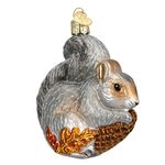 Old World Christmas Hungry Squirrel Glass Blown Ornament