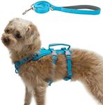 Wuffley Escape Proof Dog Harness and Leash Set, Lightweight Dog Harness with Lift and Assist Handle, No Pull Reflective Pet Vest for Small Medium Dogs, Ideal for Puppy Walking and Training (Blue, M)