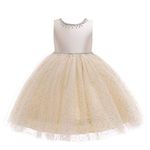 Weileenice Flower Big Girl Dress Light Champagne Elegant Vintage Tulle Junior Bridesmaid Wedding Birthday Party Princess Pageant Dress 8 9 Rhinestone Sequins Kids Graduation Ball Gown Photo Shoot Gala