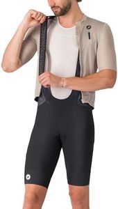 CASTELLI M