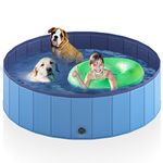 Blue Kiddie Pool