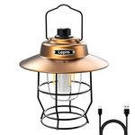 Lepro Vintage Style LED Camping Lantern, Classic Rechargeable Lantern, Portable Retro Camping Light, Tabletop Metal Hanging Tent Light with Dimmer Switch for Outdoor Indoor Emergency