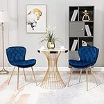 LifeSky Modern Dining Chair Set - V