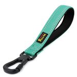 PLUTUS PET Short Dog Lead, Reflective Nylon Padded Handle, Strong Traffic Lead with Carabiner Clip, Perfect for Large or Medium Dogs (25cm，Teal)