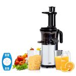 LEPL LSJ368 Bliss Professional Cold Press Whole Slow Juicer, 200 Watts Power Motor, 99% Pulp free, All-in-1 Fruit & Vegetable Juicer, with 2 Jar and Fruit Cutter Included, Grey/Black, 1 Year Warranty