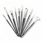 Artright Mix Artist Paint Brush Set of 10 – Fan, Round, Flat, Liner, Angle & Glaze Brushes for Acrylic, Watercolor, Oil Painting Art Brushes for Artists, Professionals & Beginners