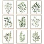 9PCS Botanical Plant Wall Art Print