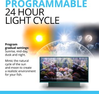 Fluval Plant 3.0 LED Aquarium Light, 38-61cm – Adjustable Spectrum