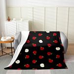 Feelyou Apple Throw Blanket All Season, for Kids Boys Girls Red Apples Fruit Fleece Blanket, Red Black Bed Blanket Fresh Bedroom Decor Flannel Fuzzy Plush Blanket Twin 60"x80"