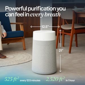 Blueair Blue Max 3450i Air Purifier – HEPA Filter, Large Room