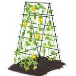 Garden Trellis for Climbing Plants Outdoor, Metal A Frame Trellis Plant Support for Vegetables/Fruits/Flowers Vine, Cucumber Trellis for Raised Bed with Nylon Netting, Black