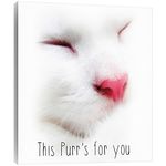 Tree-Free Greetings 81174 11.25 x 11.25-Inch "This Purr" Themed Pet Lover Cute Cat Art EcoArt Home Decor Wall Plaque