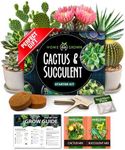 HOME GROWN Succulent & Cactus Seed 