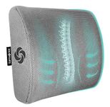 Samsonite SA5244 Ergonomic Lumbar Support Pillow Helps Relieve Lower Back Pain 100% Pure Memory Foam Improves Posture Fits Most Seats Breathable Mesh Washable Cover Adjustable Strap