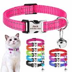 Cat Collars That Stay On