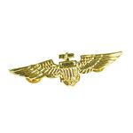 Eye-Catching Gold Metal Aviator Pin (1 Pc.) - Perfect Accessory for Military, Uniforms, World Book Day, Fashion, & More