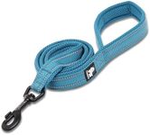 True Love Reflective Pet Leash 1 Meter Length, Large, Blue