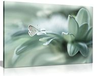 Panther Print Fine Art Prints Dew Drop & Green Pastel Butterfly Artistic Framed Canvas Print, Pictures for Home Walls, Bedroom, Living Room & Bathroom Decor 46x31cm (18x12in)