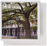 3dRose Historic New Orleans - Greeting Cards, 6 x 6 inches, Set of 12 (gc_44930_2)