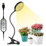 Heating Lamps For Plants