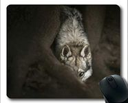 YENDOSTEEN Yanteng Mousemat,Stare Wildlife predator Wolf Gaming mouse pads (multicolor)